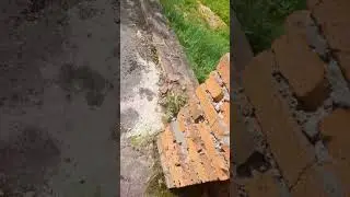 Экспертиза обследование церкви часовни