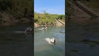swimming day