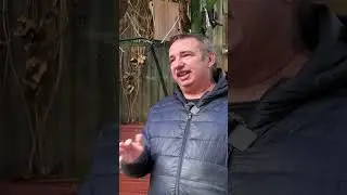 Mit ne adjunk a madaraknak télen?