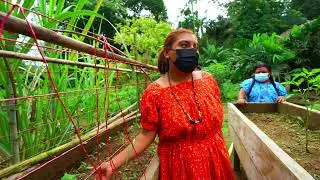 ONU Panamá: Desafíos y liderazgo: mujeres Naso Tjër Di se reinventan frente a la crisis