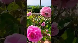 А у нас 