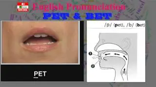 BRITISH ENGLISH PRONUNCIATION | CONSONANTS P AND B  | IELTS SPEAKING
