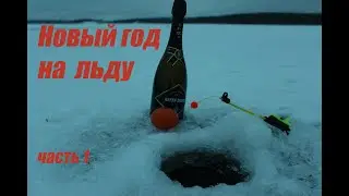 Новый год на льду!