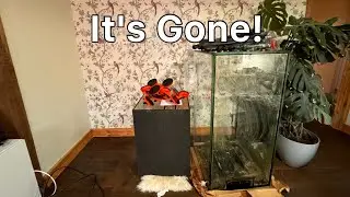 The Red Sea Reefer Peninsula 500 Is No More | The Prestige Reef Dork Show Ep 41