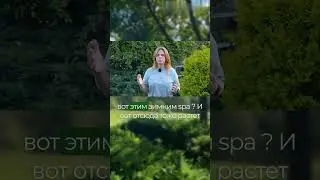 Избегайте излишеств 