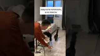 ЛУЧШЕ СПРОСИ: РЫБУ ИЛИ МЯСО???!!!😼🥩 #юмор #прикол #мем #смех #тикток #животные #котики #топ