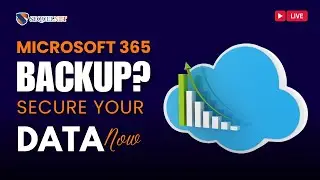 How to Do Microsoft 365 Data Backup?