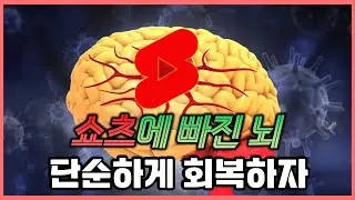 4가지 사소한 실천으로 뇌를 회복시킬 수 있다!