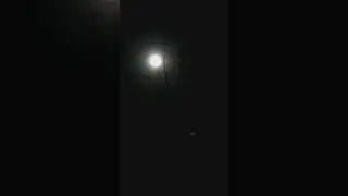 Full Moon in April | Pink Moon | feat. ‎music by @Sitwithsarafina