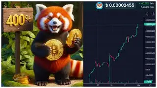 Satoshi Panda Review | A meme culture project & NFT collection inspired by Satoshi’s visio