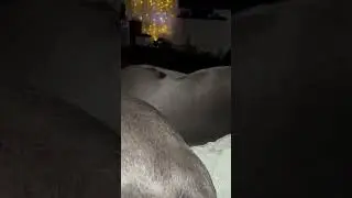 Талли решил, что мы долго спим- уже 5 утра!!!!