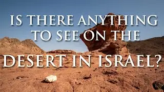 Is there anything interesting to see on the Negev desert in Israel?