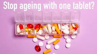 Lets Start Talking About Beauty Nutrition
