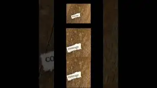 [Exprimental Film]LETTER #avantgarde #contemporary #dryhumor #mediaart #shortfilm #experimentalcinem