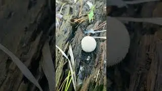 Влог уже на канале 😘👇 