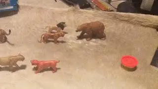 New Battles (Animal Kingdom Battles)