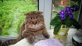 Не унывайте пацаны))))))))))))))))))!!!!!!!!!!!!!!!!!!!