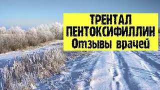 ТРЕНТАЛ ⚕ Пентоксифиллин 💊 Отзывы врачей разных специальностей.💬