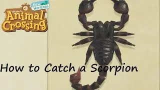Animal Crossing: New Horizons - How to Catch a Scorpion