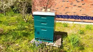 20. April 2021. Unsere fleißigen Bienen. Bleibt gesund!