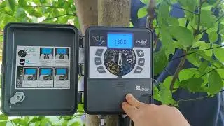 настройка компьютера полива Rain Dial