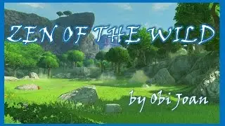 Zen of the Wild ASMR~ 4. Lanayru outside and Akkala storm  - 9 minutes meditation (HD)
