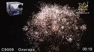 С9009   Олигарх 2х 25 зарядов