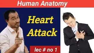 Heart Attack,Causes,Symptoms, prevention and treatment detail lecture.
