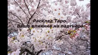 Расклад Таро. Ваше влияние на партнера.