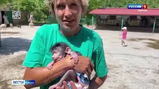 ⚡️⚡️Львы загрызли управляющую Тайгана: что известно о трагедии