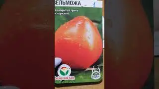 Мои крупнотоматные планы на дачный сезон 2023 года👌