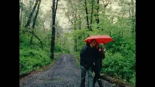 A romantic walk in the woods - cinematic short film (Sony a7sii)