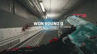 dominating in faceit rainbow six siege