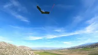 5D2 Flying Wing Control Lock-Out Crash