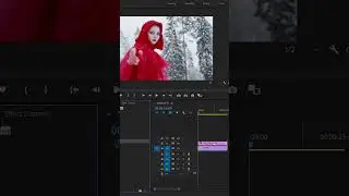 Premiere Pro Color changing Effect 