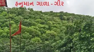 Driving a car in the forest (Hanuman Gala - GIR) - ફોરેસ્ટ ડ્રાઇવિંગ (હનુમાન ગાલા - ગીર)