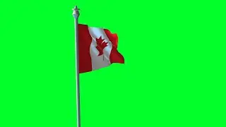 Canada national Flag Animation Green Screen No Copyright Stock footage 2k_Shutterstock BD