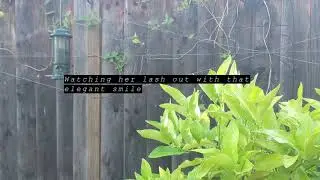 Elegant Smile | Ben May | Official Lyric Video
