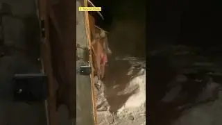 Влог Марвина 3 | новогодние выходные 2