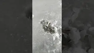 ЗИМНЯЯ РЫБАЛКА 2021)!!! ПОЛНО РЫБЫ, САМА ВЫПРЫГИВАЕТ!!!