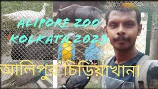 ALIPORE ZOO KOLKATA 2023 |আলিপুর চিড়িয়াখানা PART -2