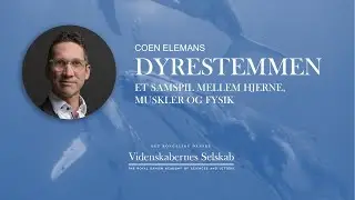 Coen Elemans - Dyrestemmen: Et samspil mellem hjerne, muskler og fysik