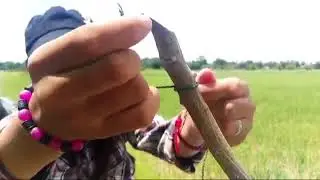 Amazing Traditional Bird Trap