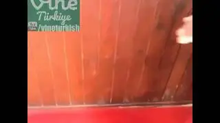 Selamlaşmak   Anililter