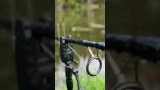 Осенний дикий карп фишинг #carping #fishing #carphunter #camping #carpfishing #carpfish #autocampin
