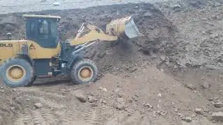 тарактур дар вистан