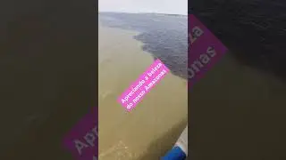 Encontro das águas no Amazonas
