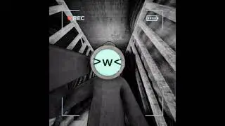 Content Warning with friends 11