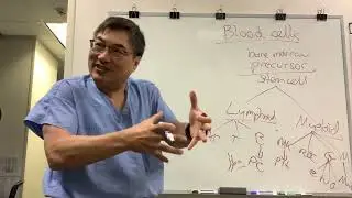 Blood Cells and Neuro-Ophthalmology