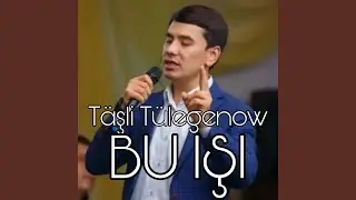 Bu işi